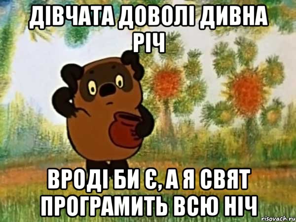 дівчата доволі дивна річ вроді би є, а я свят програмить всю ніч, Мем Винни пух чешет затылок