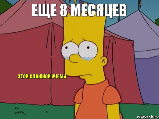 еще 8 месяцев  этой сложной учебы, Комикс   Барт плачет
