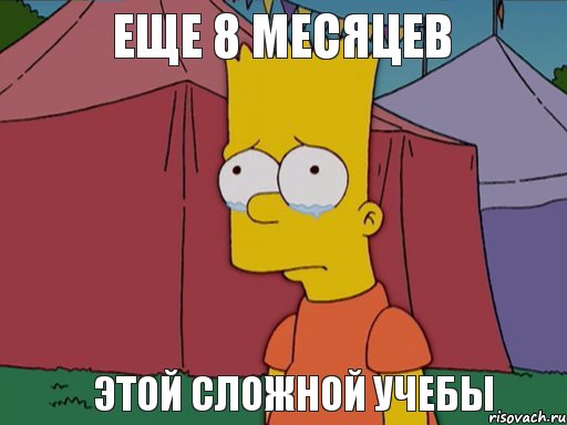 еще 8 месяцев этой сложной учебы , Комикс   Барт плачет