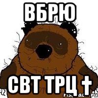 вбрю свт трц †, Мем   Вонни