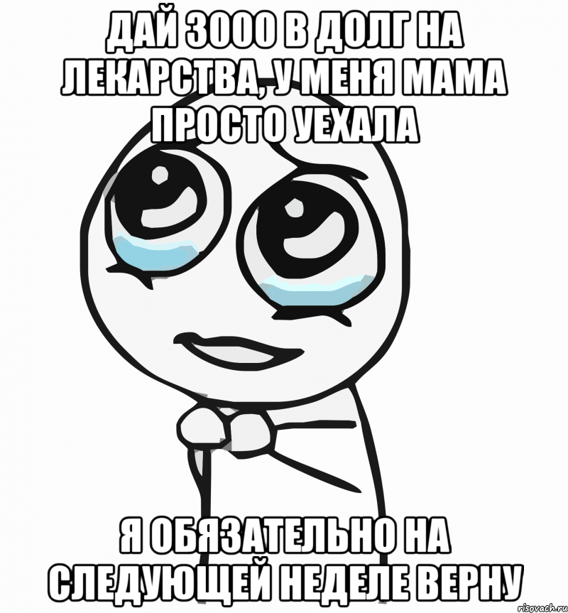 дай 3000 в долг на лекарства, у меня мама просто уехала я обязательно на следующей неделе верну, Мем  ну пожалуйста (please)