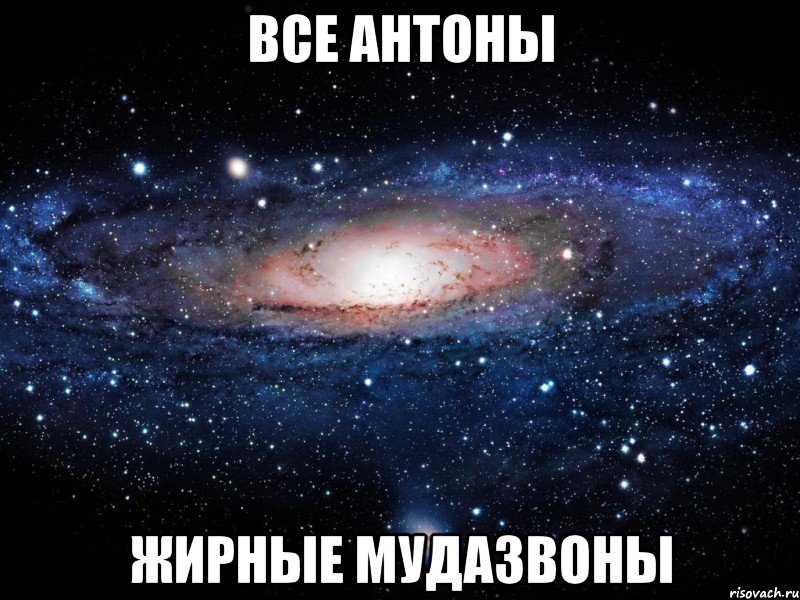 все антоны жирные мудазвоны, Мем Вселенная