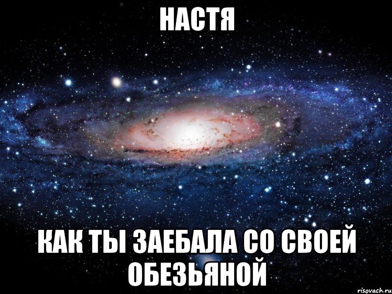 настя как ты заебала со своей обезьяной, Мем Вселенная