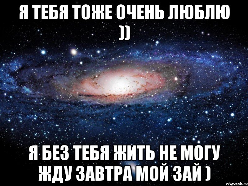 я тебя тоже очень люблю )) я без тебя жить не могу жду завтра мой зай ), Мем Вселенная