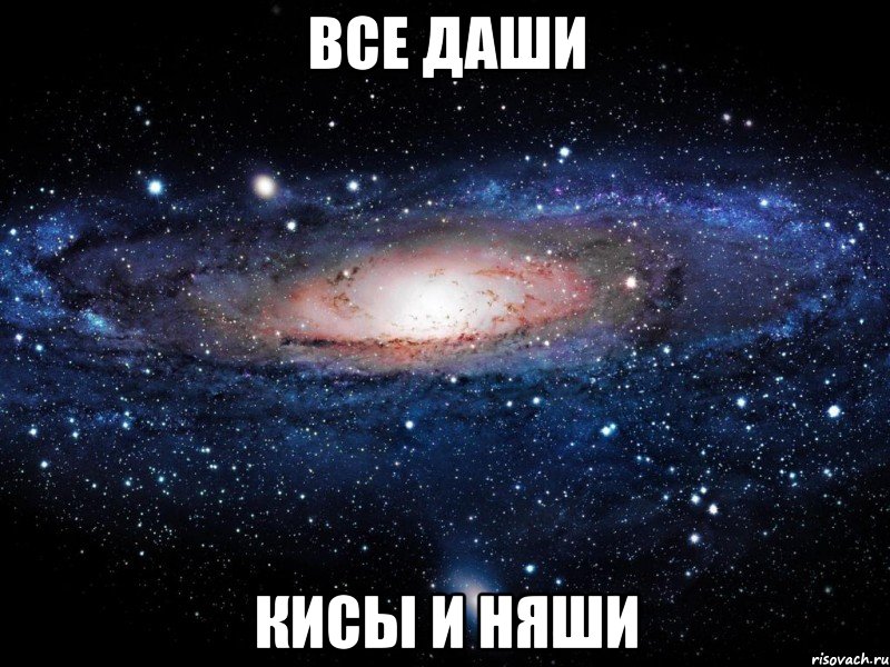 все даши кисы и няши, Мем Вселенная