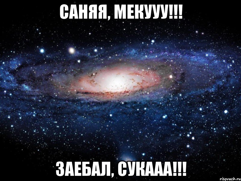 саняя, мекууу!!! заебал, сукааа!!!, Мем Вселенная