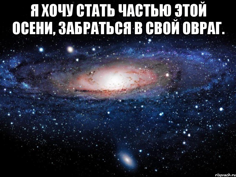 я хочу стать частью этой осени, забраться в свой овраг. , Мем Вселенная