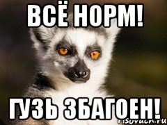 всё норм! гузь збагоен!, Мем Я збагоен