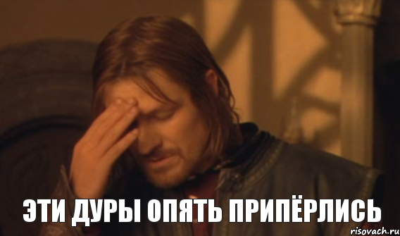 Эти дуры опять припёрлись, Мем Закрывает лицо