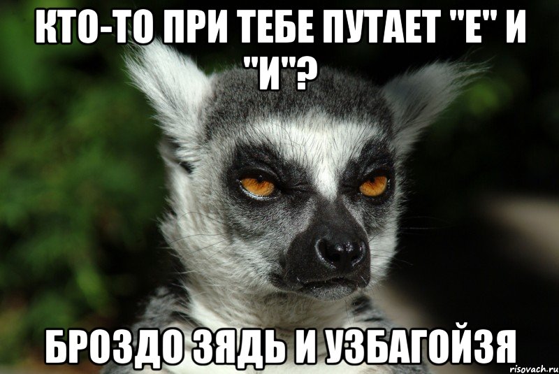 кто-то при тебе путает "е" и "и"? броздо зядь и узбагойзя, Мем   Я збагоен