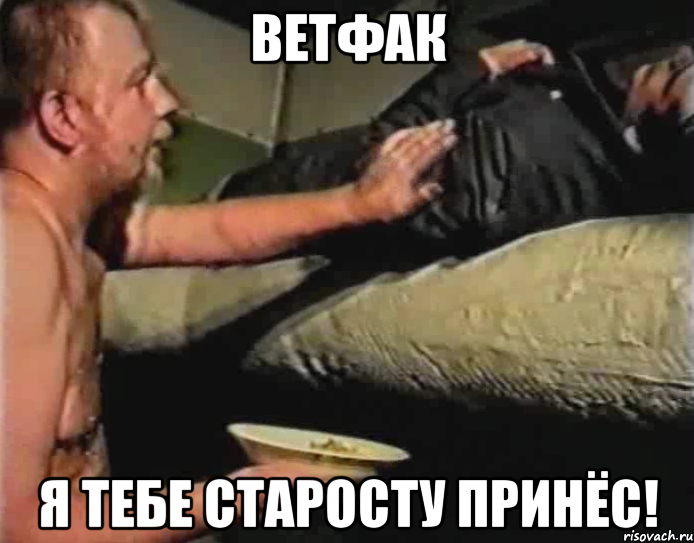 ветфак я тебе старосту принёс!, Мем Зеленый слоник