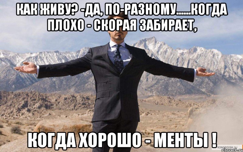 как живу? -да, по-разному......когда плохо - скорая забирает, когда хорошо - менты !, Мем железный человек