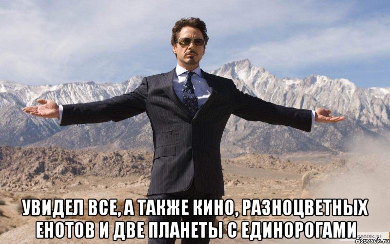  увидел все, а также кино, разноцветных енотов и две планеты с единорогами, Мем железный человек