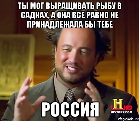 ты мог выращивать рыбу в садках, а она все равно не принадлежала бы тебе россия, Мем Женщины (aliens)