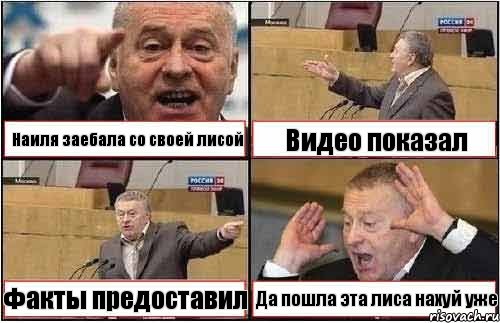 Наиля заебала со своей лисой Видео показал Факты предоставил Да пошла эта лиса нахуй уже, Комикс жиреновский