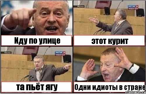 Иду по улице этот курит та пьёт ягу Одни идиоты в стране, Комикс жиреновский