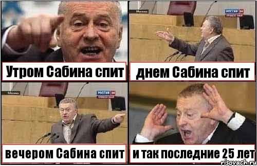 Утром Сабина спит днем Сабина спит вечером Сабина спит и так последние 25 лет, Комикс жиреновский