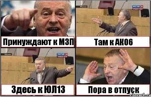 Принуждают к МЗП Там к АК06 Здесь к ЮЛ13 Пора в отпуск, Комикс жиреновский