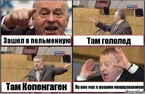 Зашел в пельменную Там гололед Там Копенгаген Ну вас нах с вашим кварцеванием, Комикс жиреновский