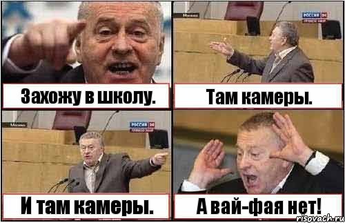 Захожу в школу. Там камеры. И там камеры. А вай-фая нет!, Комикс жиреновский