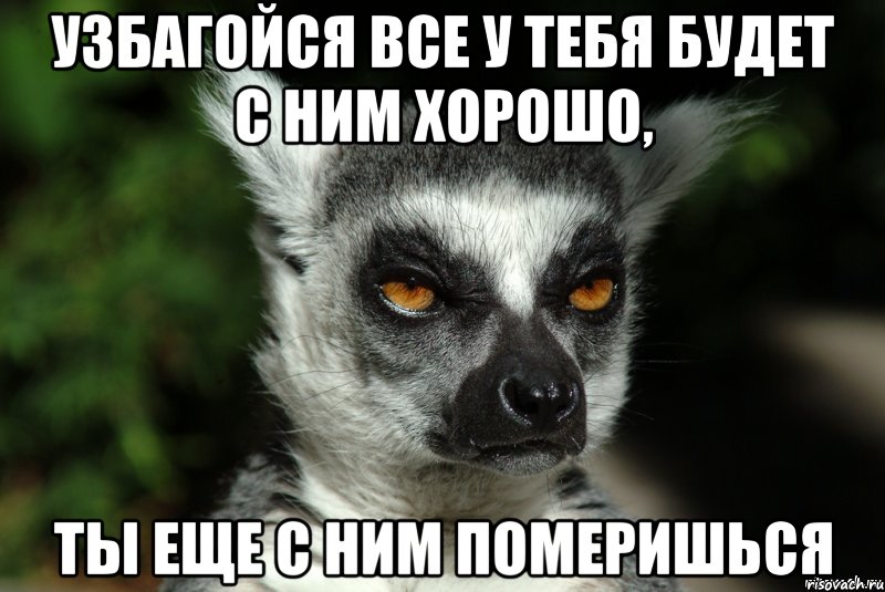 Узбагойся все у тебя будет с ним хорошо, ты еще с ним померишься, Мем   Я збагоен