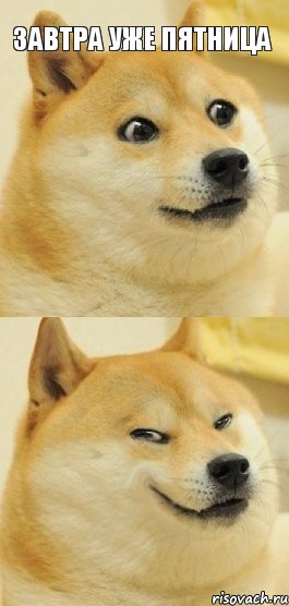 Завтра уже пятница , Комикс   DOGE довольный