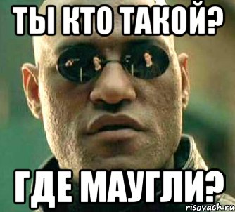 ты кто такой? где маугли?, Мем  а что если я скажу тебе