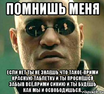 помнишь меня если нет ты не знаешь что такое-прими красную таблетку и ты проснёшся забыв всё.прими синию и ты будешь как мы и освободишься., Мем  а что если я скажу тебе