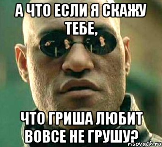 а что если я скажу тебе, что гриша любит вовсе не грушу?, Мем  а что если я скажу тебе