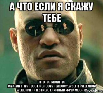 а что если я скажу тебе что написал на java+ant+ivy+log4j+groovy+groovy.wslite+selenium webdriver+testng отличный фреймворк?, Мем  а что если я скажу тебе