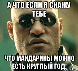 а что если я скажу тебе что мандарины можно есть круглый год!, Мем  а что если я скажу тебе