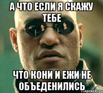 а что если я скажу тебе что кони и ежи не объеденились, Мем  а что если я скажу тебе