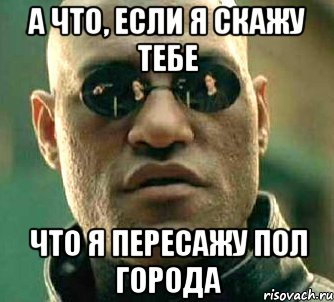 а что, если я скажу тебе что я пересажу пол города, Мем  а что если я скажу тебе