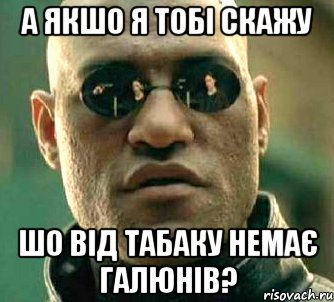 а якшо я тобі скажу шо від табаку немає галюнів?, Мем  а что если я скажу тебе