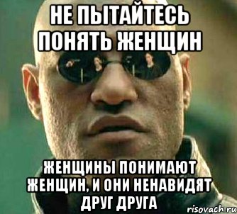 не пытайтесь понять женщин женщины понимают женщин, и они ненавидят друг друга, Мем  а что если я скажу тебе