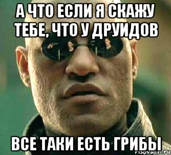 А что если я скажу тебе, что у друидов Все таки есть грибы, Мем  а что если я скажу тебе