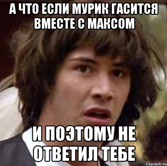 а что если мурик гасится вместе с максом и поэтому не ответил тебе, Мем А что если (Киану Ривз)