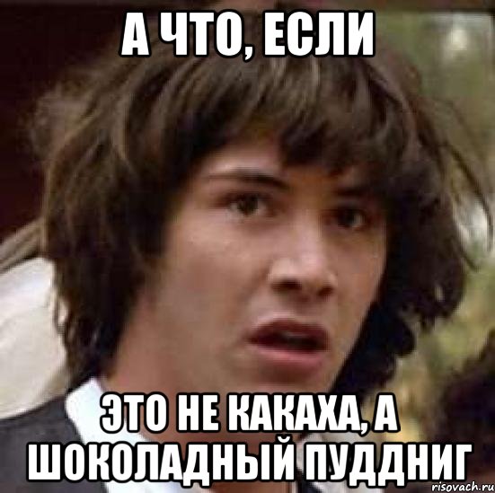 а что, если это не какаха, а шоколадный пуддниг, Мем А что если (Киану Ривз)