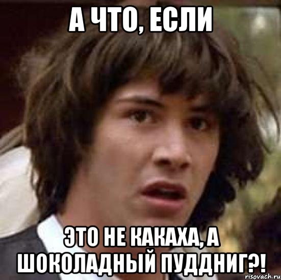 а что, если это не какаха, а шоколадный пуддниг?!, Мем А что если (Киану Ривз)