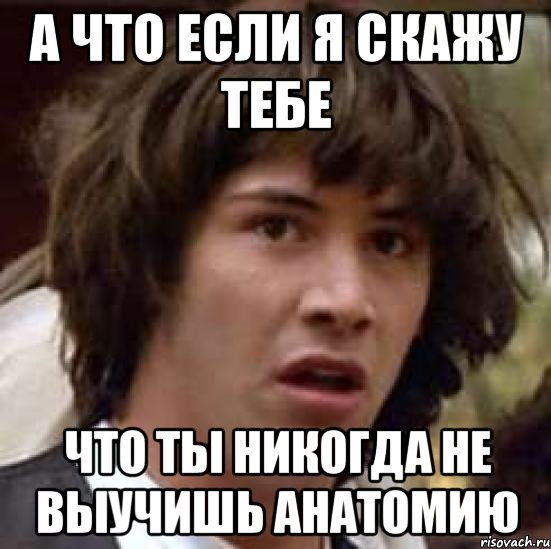 А что если я скажу тебе что ты никогда не выучишь анатомию, Мем А что если (Киану Ривз)