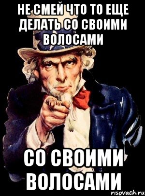 не смей что то еще делать со своими волосами со своими волосами, Мем а ты