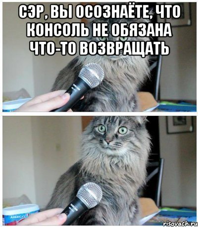 сэр, вы осознаёте, что консоль не обязана что-то возвращать , Комикс  кот с микрофоном