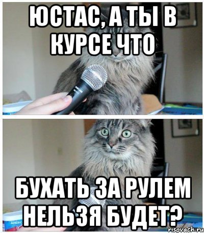 юстас, а ты в курсе что бухать за рулем нельзя будет?, Комикс  кот с микрофоном