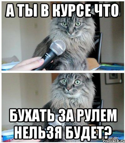 а ты в курсе что бухать за рулем нельзя будет?, Комикс  кот с микрофоном