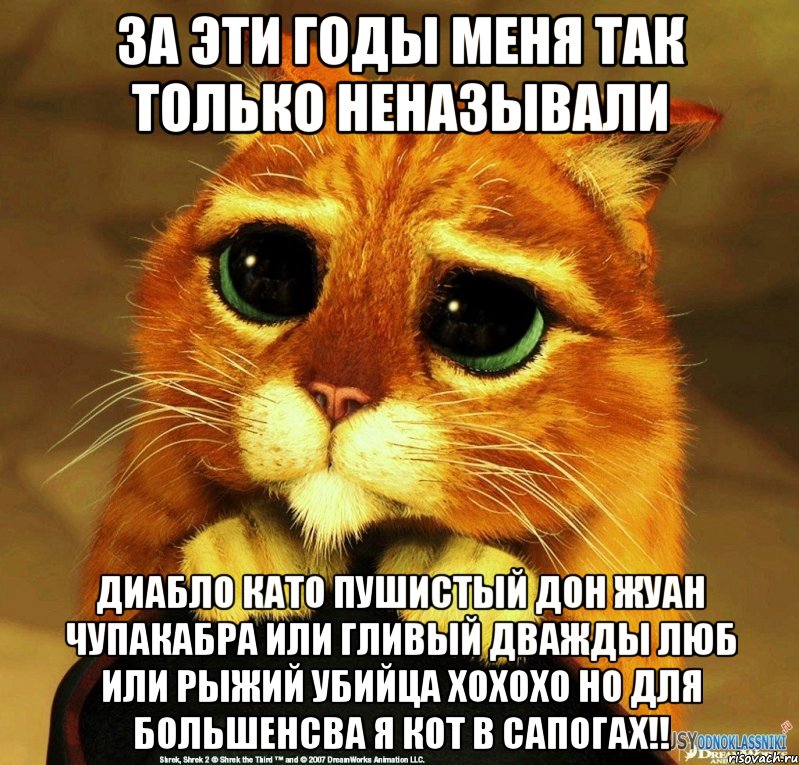 За Эти годы меня так только неназывали Диабло като пушистый дон жуан чупакабра или гливый дважды люб или рыжий убийца хохохо но для большенсва я Кот в Сапогах!!, Мем Котик из Шрека