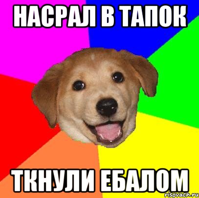 насрал в тапок ткнули ебалом, Мем Advice Dog