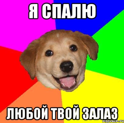 я спалю любой твой залаз, Мем Advice Dog