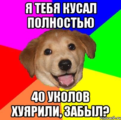 я тебя кусал полностью 40 уколов хуярили, забыл?, Мем Advice Dog