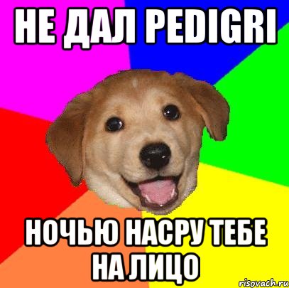 не дал pedigri ночью насру тебе на лицо, Мем Advice Dog