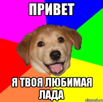 привет я твоя любимая лада, Мем Advice Dog